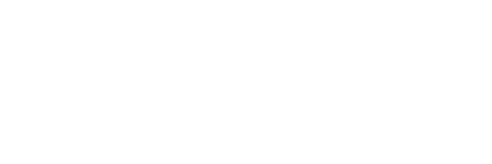 edvora logo white 3400x1140